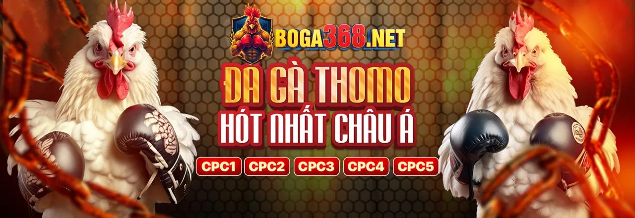 Phân loại cookie và lợi ích chúng mang lại cho người dùng xvip nhà cái